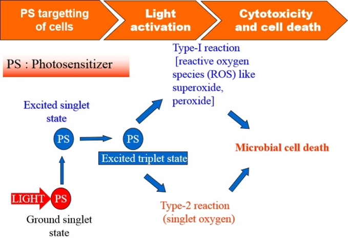 photodynamic